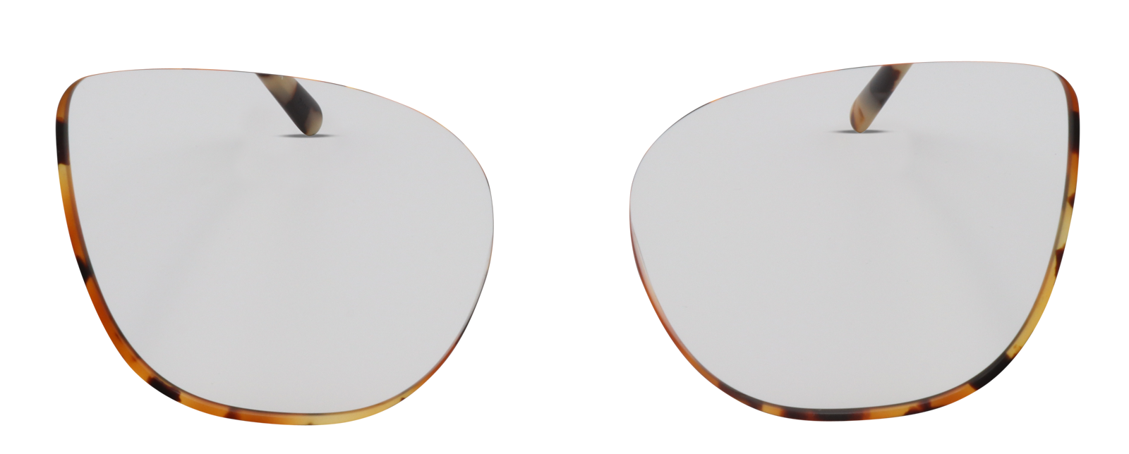 Lacoste Men's Wayfarer Sunglasses LAC963S | Zenni Optical Canada