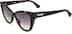 Moschino MOS056 MOS05625 in Dark Havana