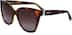 Moschino MOS066 MOS06625 in Havana