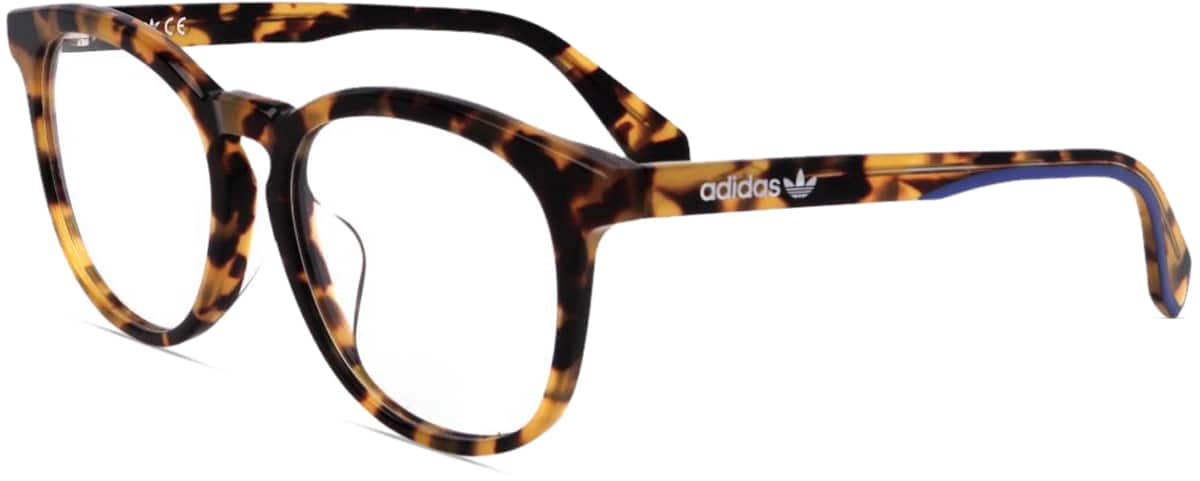 Angle view of Adidas OR5019 OR501925 in Tortoiseshell