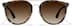 Aviator Sunglasses P1134825 in Tortoiseshell