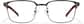 Front view of Browline Glasses P169912 in Graphite thumbnail