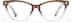 Cat-eye Glasses P283615 in Brown Clear Ombre