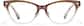 Front view of Cat-eye Glasses P283615 in Brown Clear Ombre thumbnail