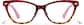 Front view of Cat-eye Glasses P283625 in Tortoiseshell thumbnail