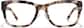 Front view of Square Glasses P4413825 in Tortoiseshell thumbnail