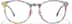 Round Glasses P4469129 in Multicolor