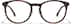 Round Glasses P4469135 in Tortoiseshell