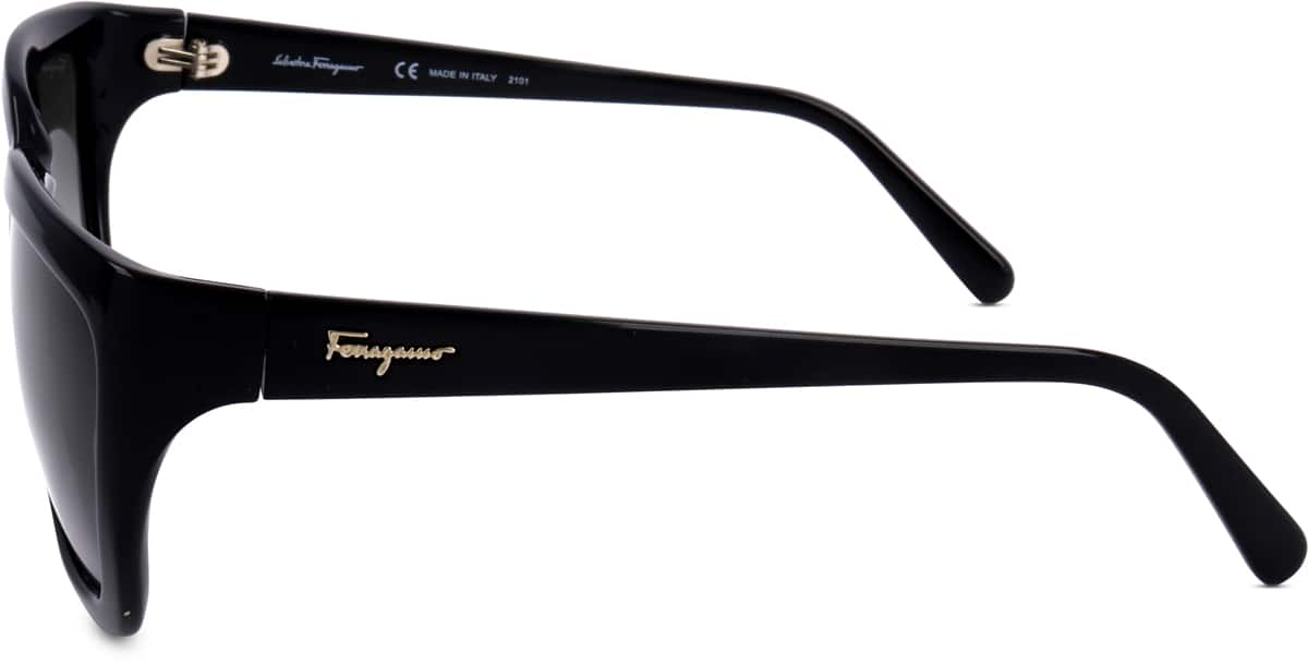 Side view of Ferragamo SF1018S SF1018S21 in Black