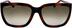 Ferragamo SF1018S SF1018S25 in Dark Havana