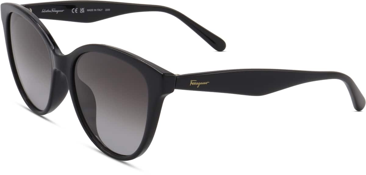 Angle view of Ferragamo SF1073S SF1073S21 in Black