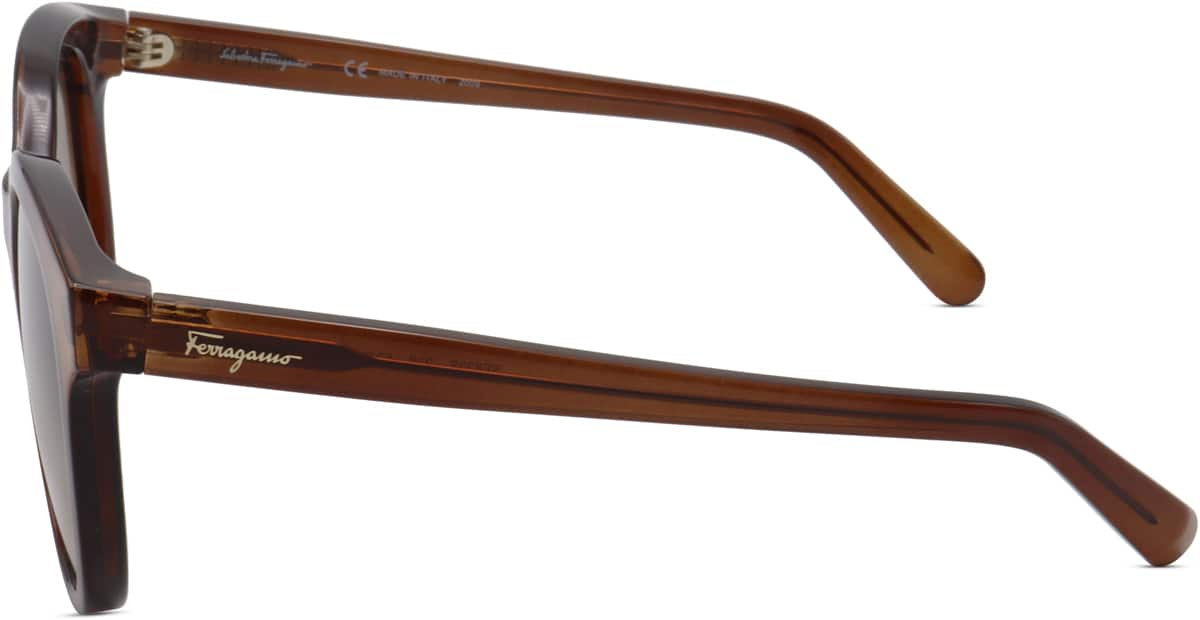 Side view of Ferragamo SF833S SF833S15 in Crystal Brown