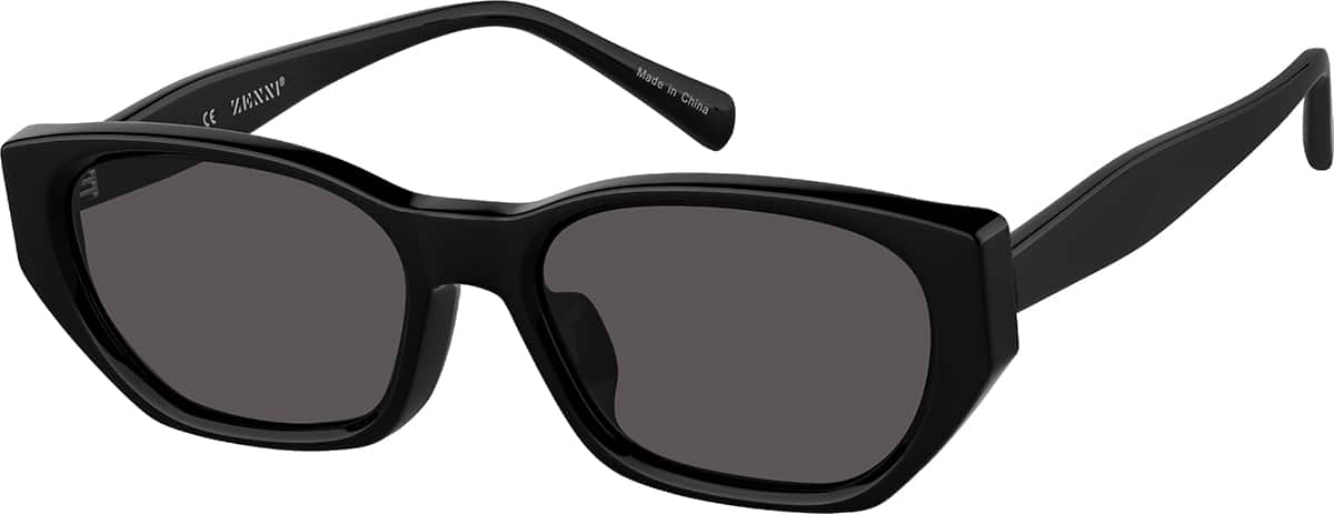 Angle view of Geometric Sunglasses T00122112 in Black