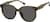 Angle view of Square Sunglasses T00171512 in Brown thumbnail