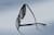 Image of Cat-eye Sunglasses thumbnail