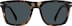 Square Sunglasses T00272512 in Tortoiseshell