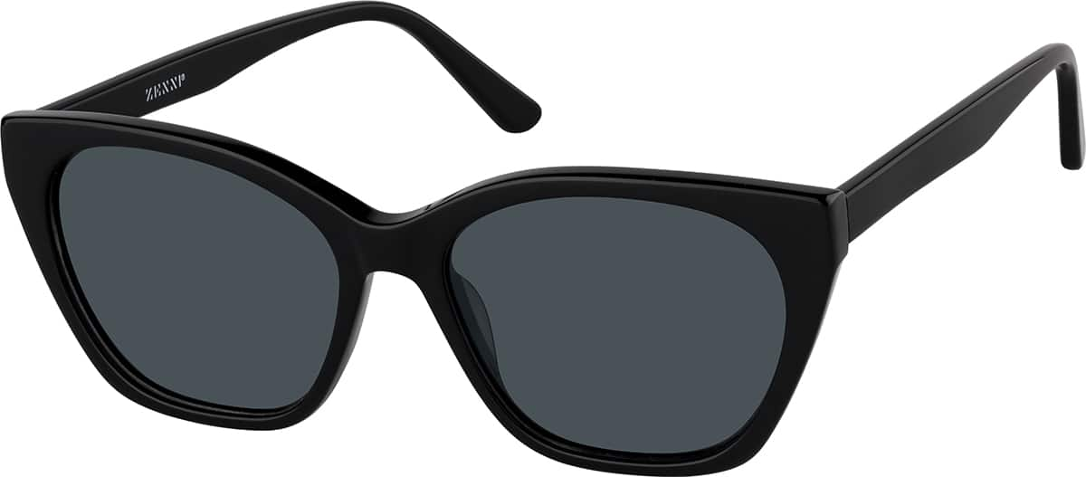 Angle view of Cat-eye Sunglasses T00302112 in Black