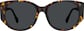 Front view of Geometric Sunglasses T00342512 in Tortoiseshell thumbnail