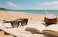 Image of Cat-Eye Sunglasses thumbnail