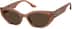 Sugar Rush T01241515 in Brown