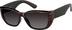 Rover T01251515 in Brown