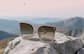 Image of Square Sunglasses thumbnail