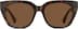 Square Sunglasses T01512515 in Tortoiseshell