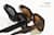 Image of Square Sunglasses thumbnail