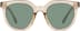 Square Sunglasses T01584224 in Orange