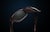 Image of Rectangle Sunglasses thumbnail