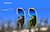 Image of Wrap-Around Polarized Sunglasses thumbnail