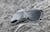 Image of Wrap-Around Sunglasses thumbnail