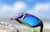 Image of Rectangle Sunglasses thumbnail