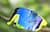 Image of Wrap-Around Polarized Sunglasses thumbnail