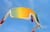 Image of Wrap-Around Polarized Sunglasses thumbnail