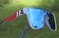 Image of Square Polarized Sunglasses thumbnail