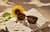 Image of Square Sunglasses thumbnail