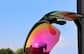 Image of Wrap-Around Sports Sunglasses thumbnail