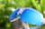 Image of Wrap-Around Sports Sunglasses thumbnail