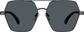 Front view of Aviator Polarized Sunglasses T06021212 in Gray thumbnail
